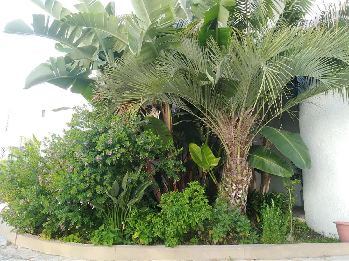Garden View Vilamoura Apartment Ngoại thất bức ảnh